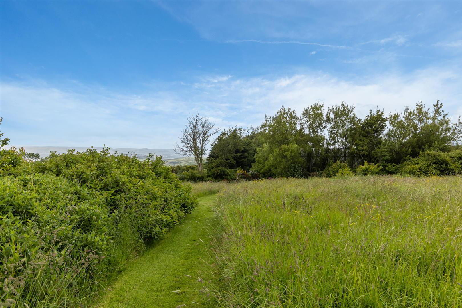 'Kilcoan Gardens', 240 Middle Road 71 of 84