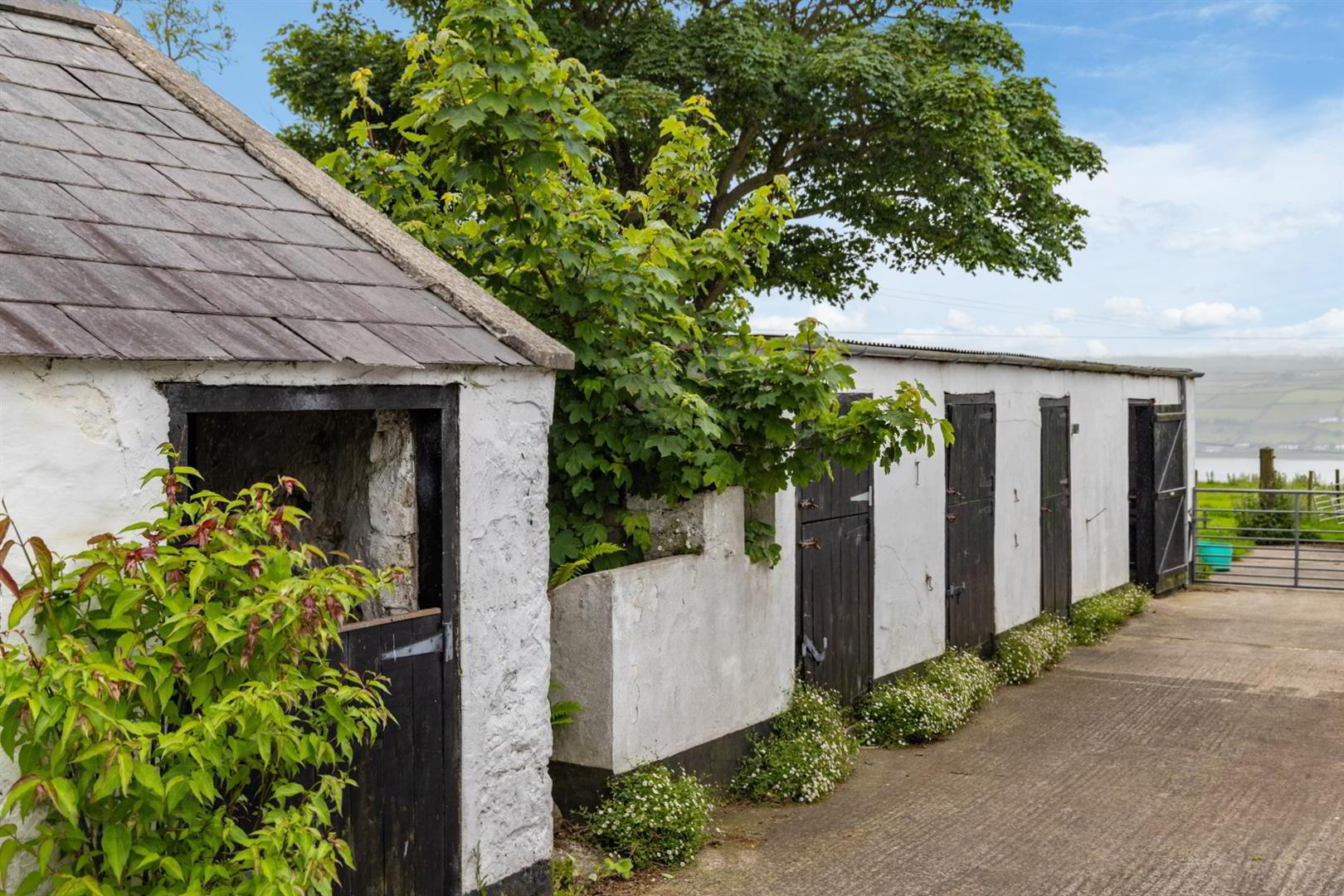 'Kilcoan Gardens', 240 Middle Road 75 of 84