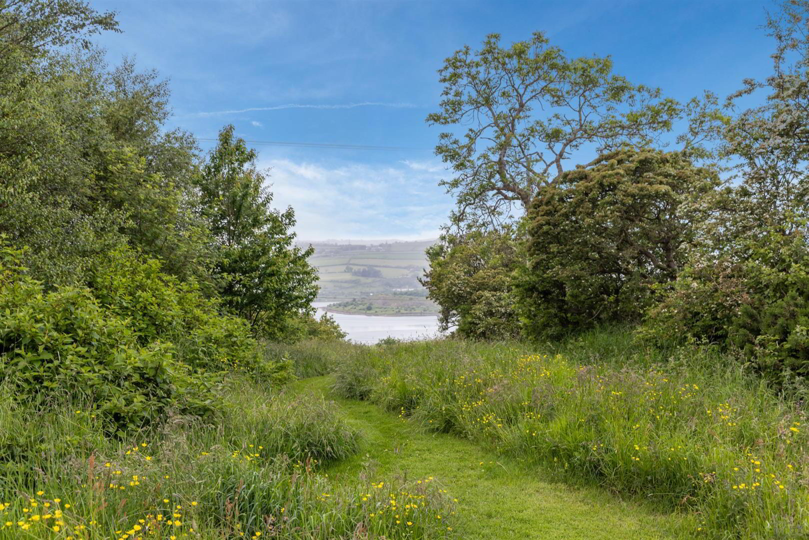 'Kilcoan Gardens', 240 Middle Road 73 of 84