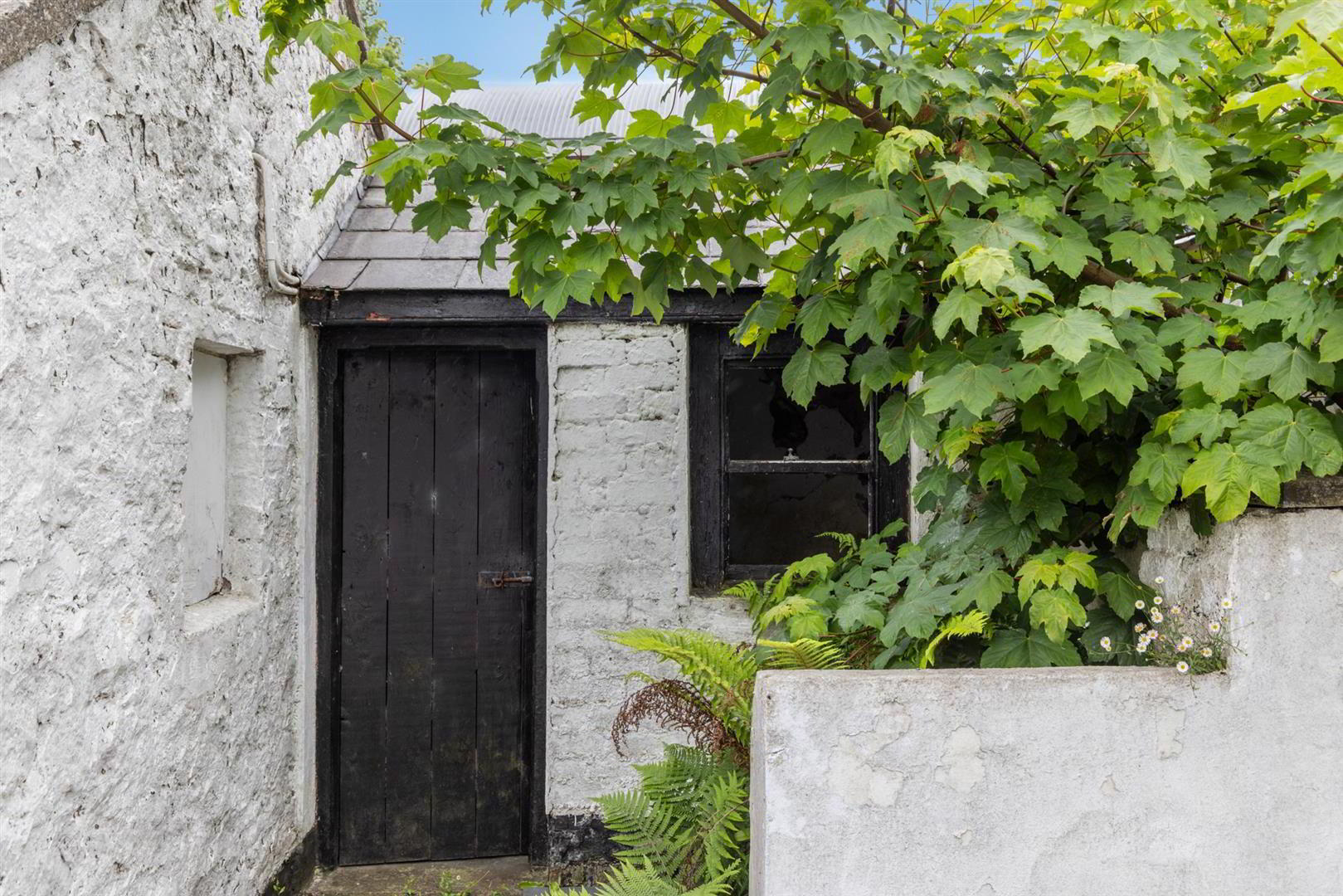 'Kilcoan Gardens', 240 Middle Road 76 of 84