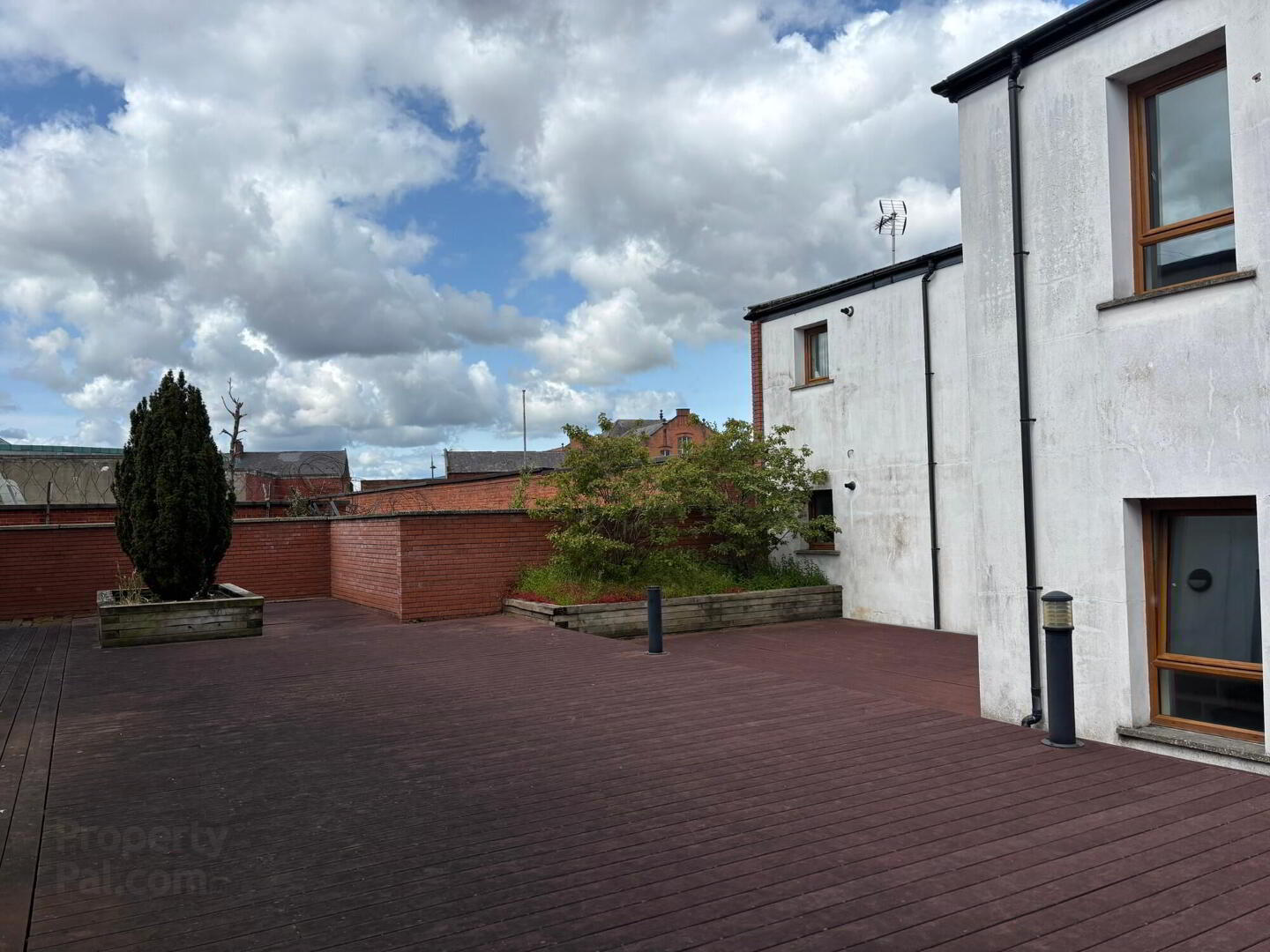 Apt 6, 39 Thorndyke Street 9 of 10
