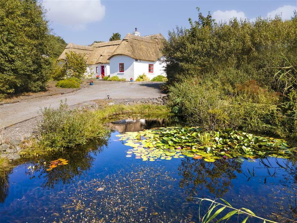 Sheeffrey Cottage 1 of 24