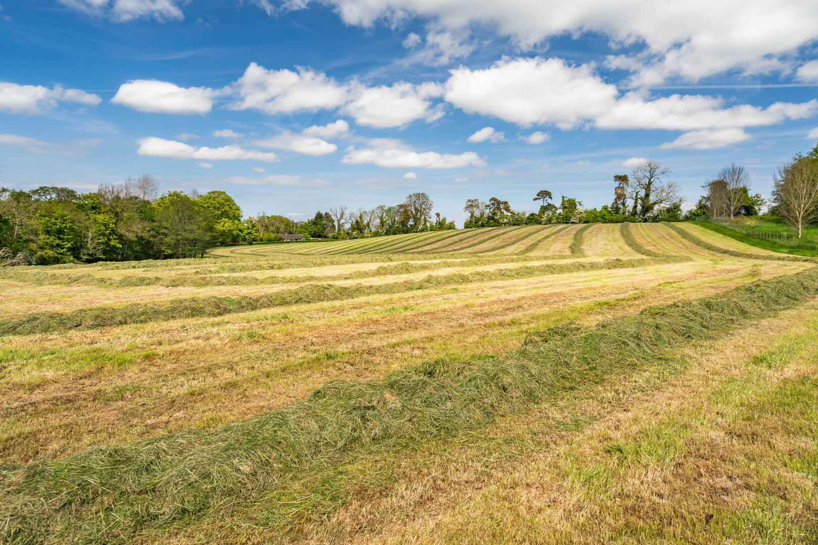 Lot 2: Lands At Marlacoo, 146 Marlacoo Road 7 of 9