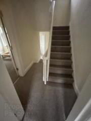 48 Candahar St 10 of 15