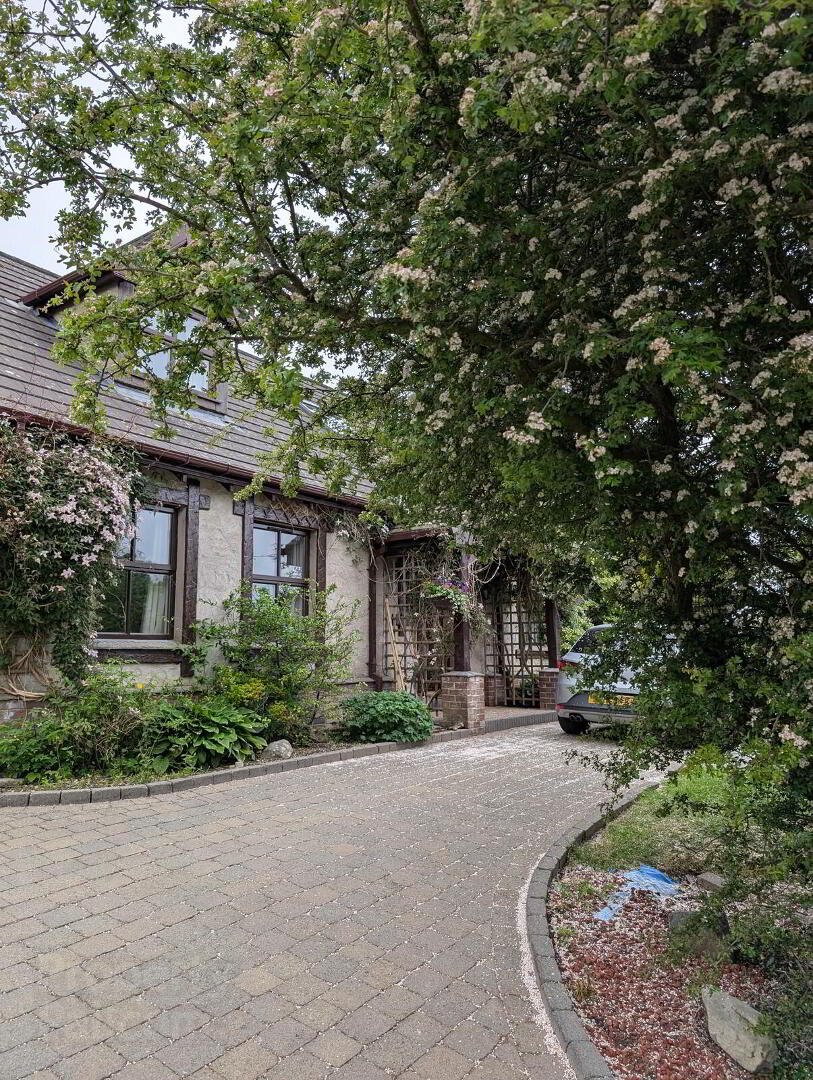 63 Katesbridge Road 4 of 22