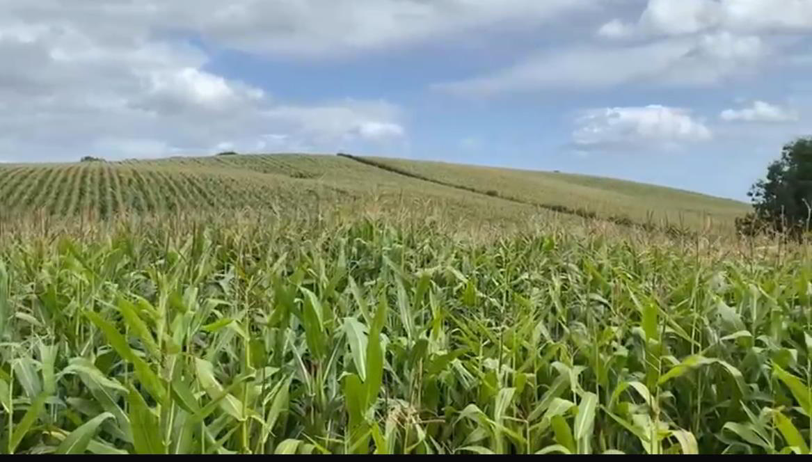 High Quality Arable Lands 3 of 5
