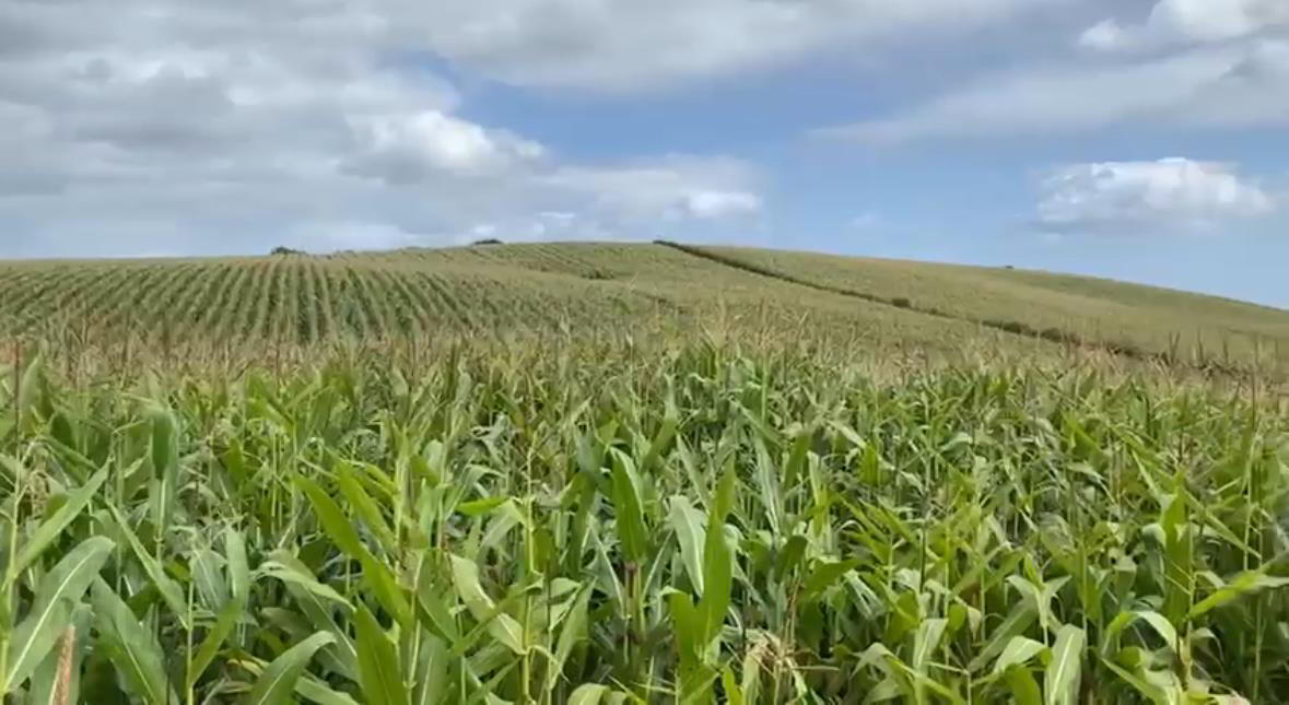 High Quality Arable Lands 4 of 5