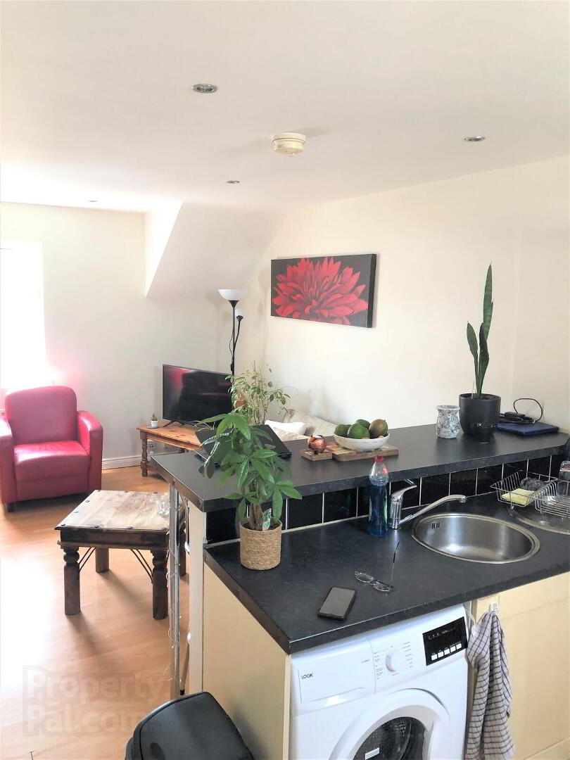 5a Glenmore Street 11 of 15