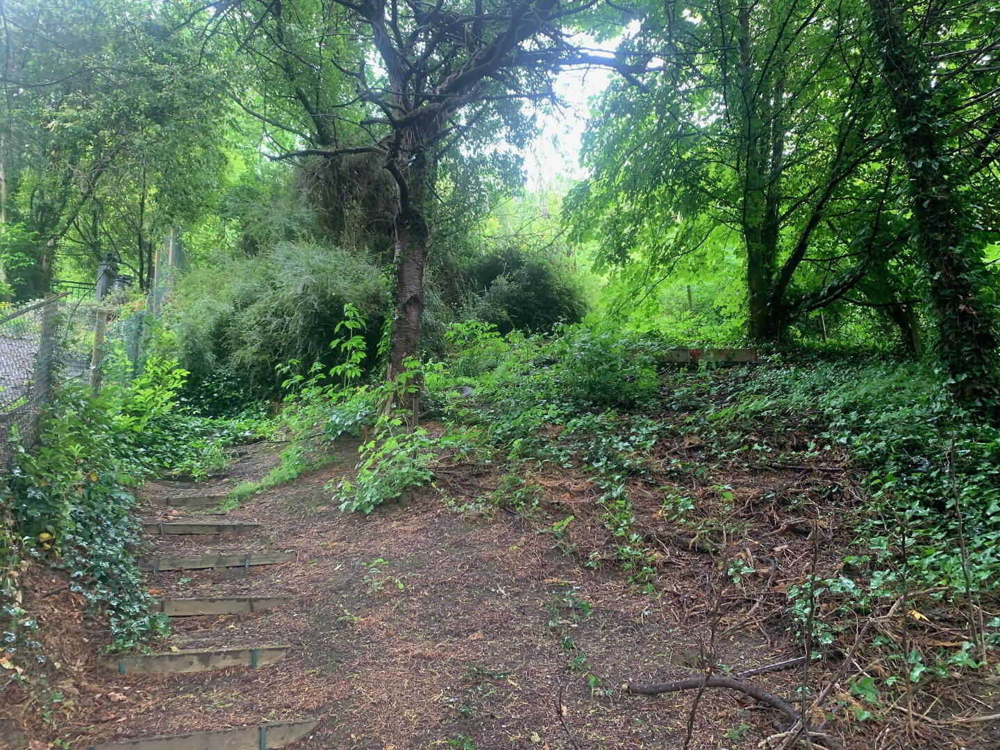 Strawberry Lodge 10 of 15