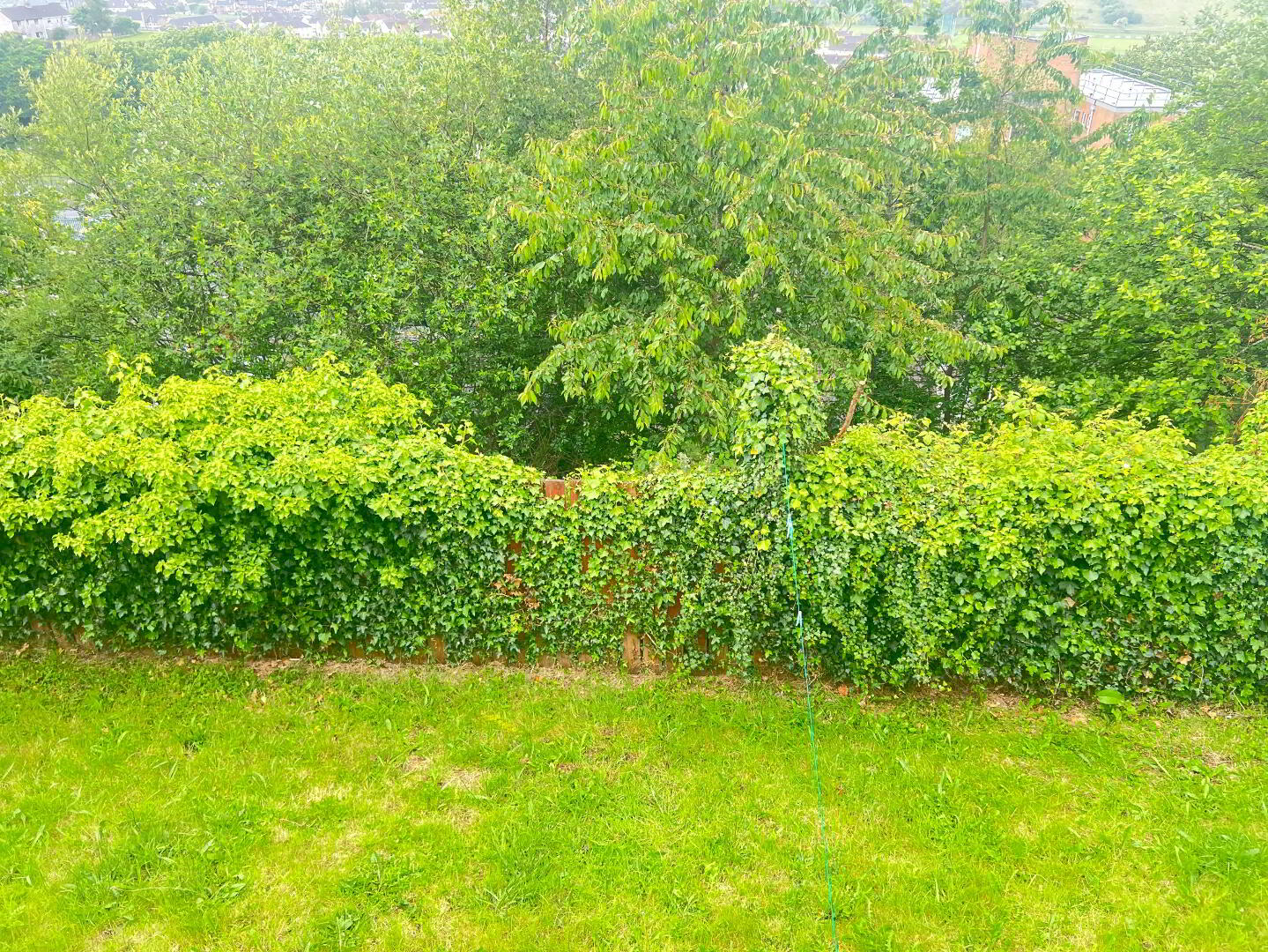 26 Laurel Hill 13 of 14