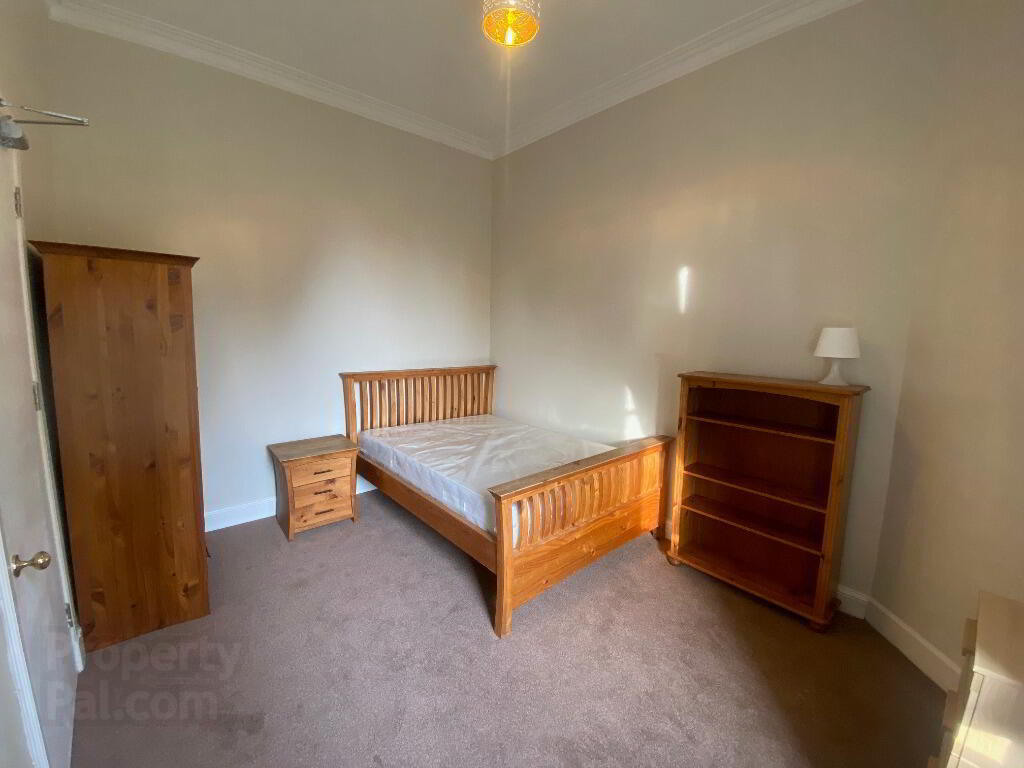 227 Dalkeith Road 9 of 12