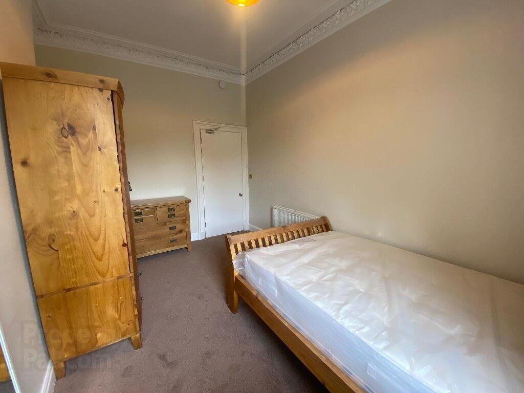 227 Dalkeith Road 10 of 12