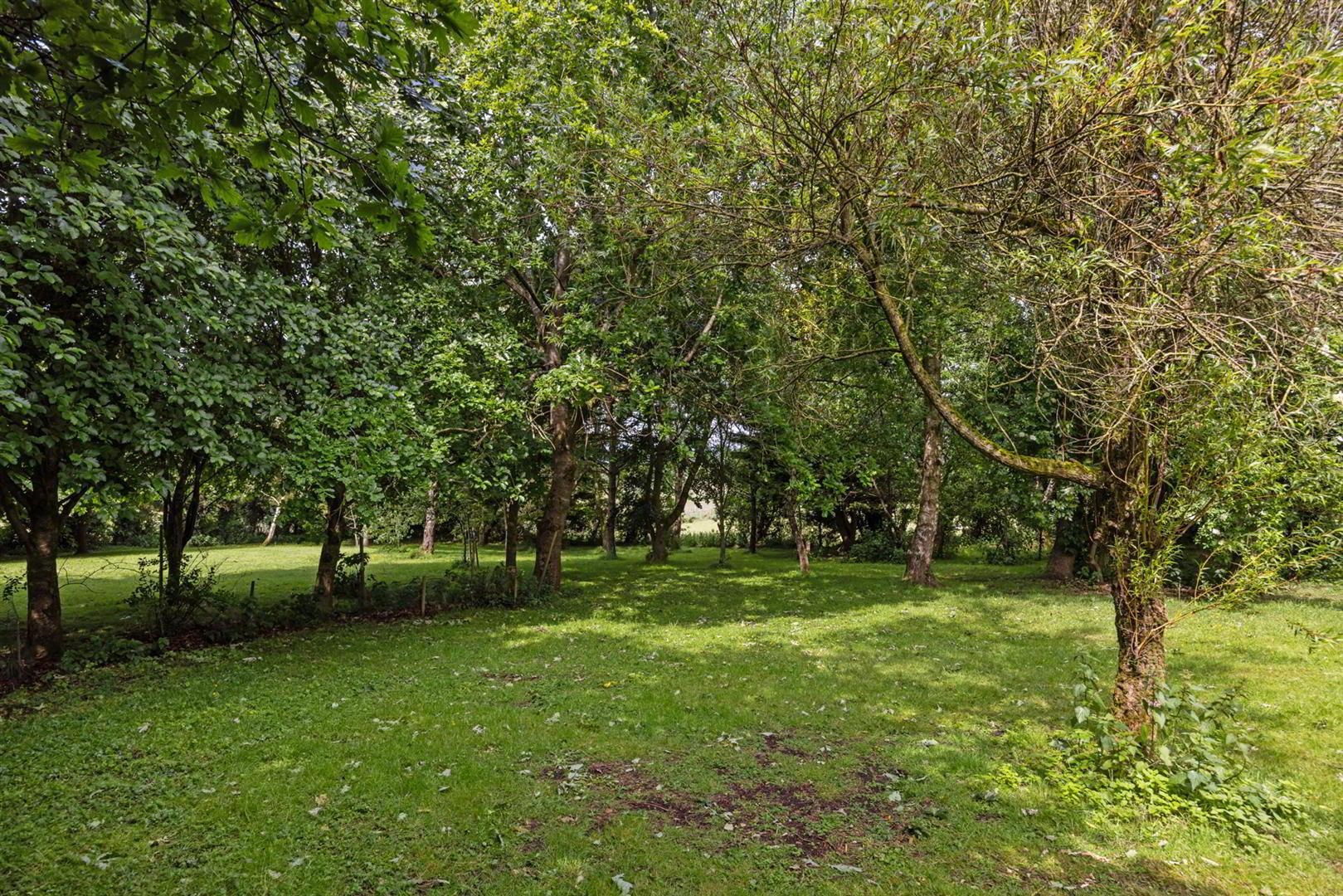 76a Magheraknock Road 54 of 73