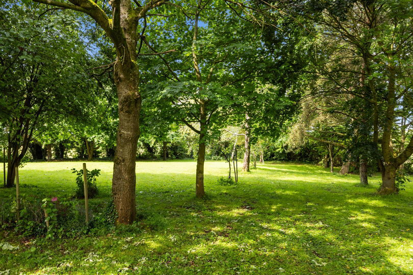 76a Magheraknock Road 56 of 73