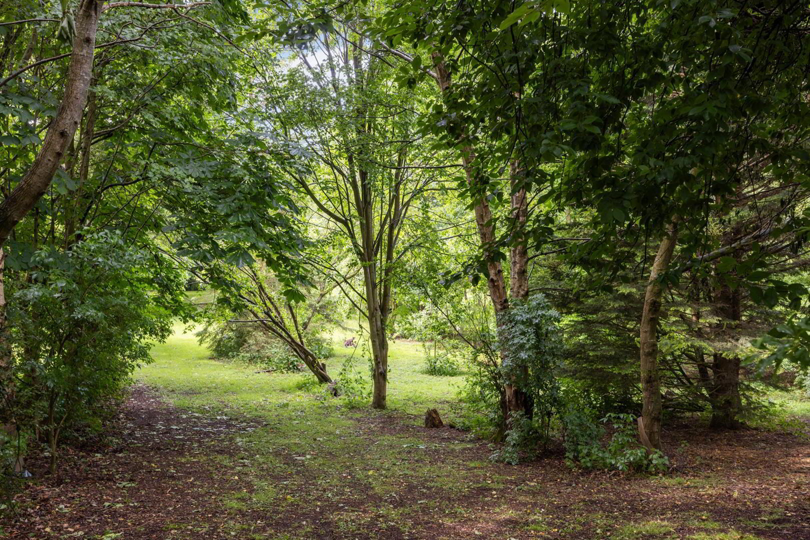 76a Magheraknock Road 59 of 73
