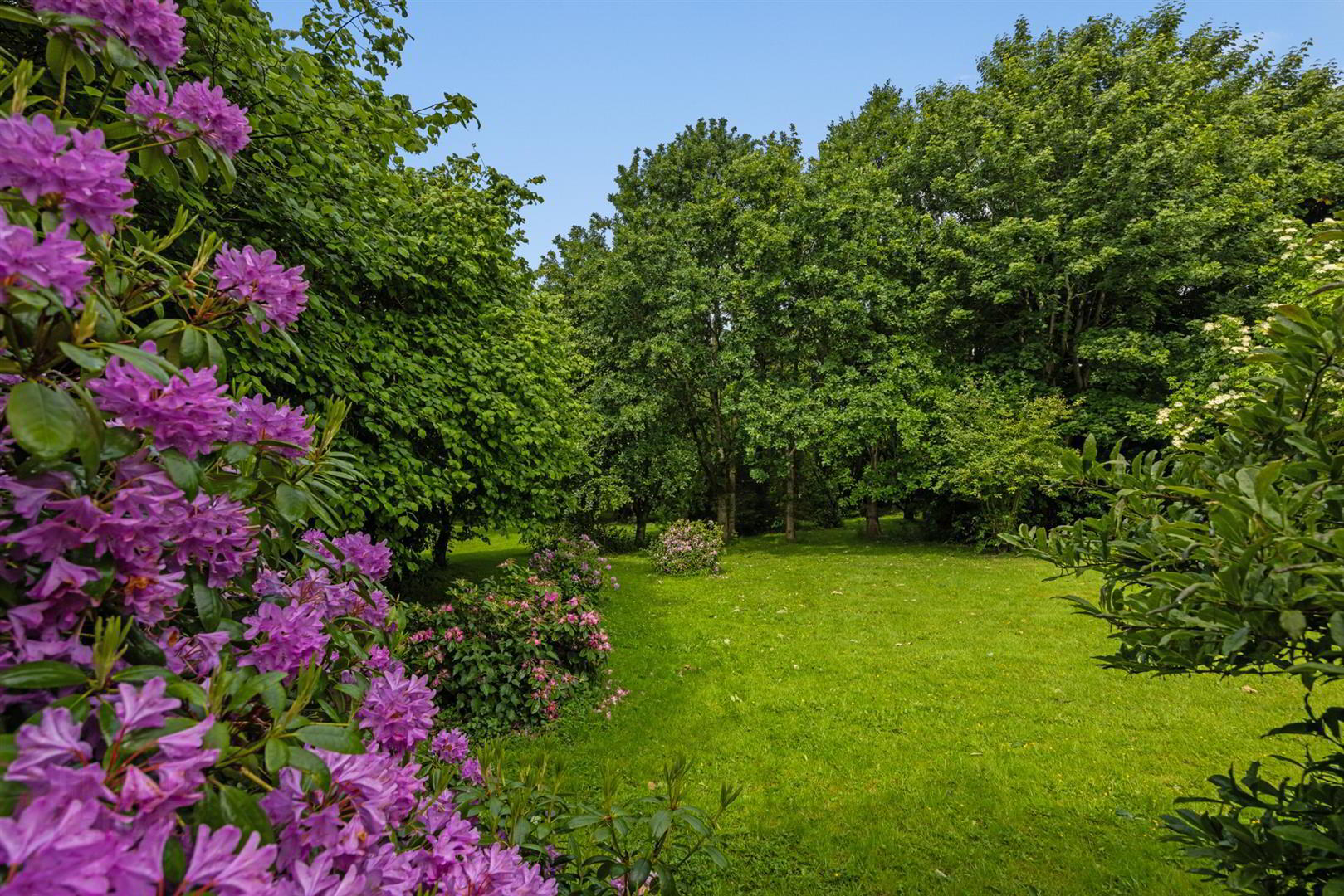 76a Magheraknock Road 49 of 73