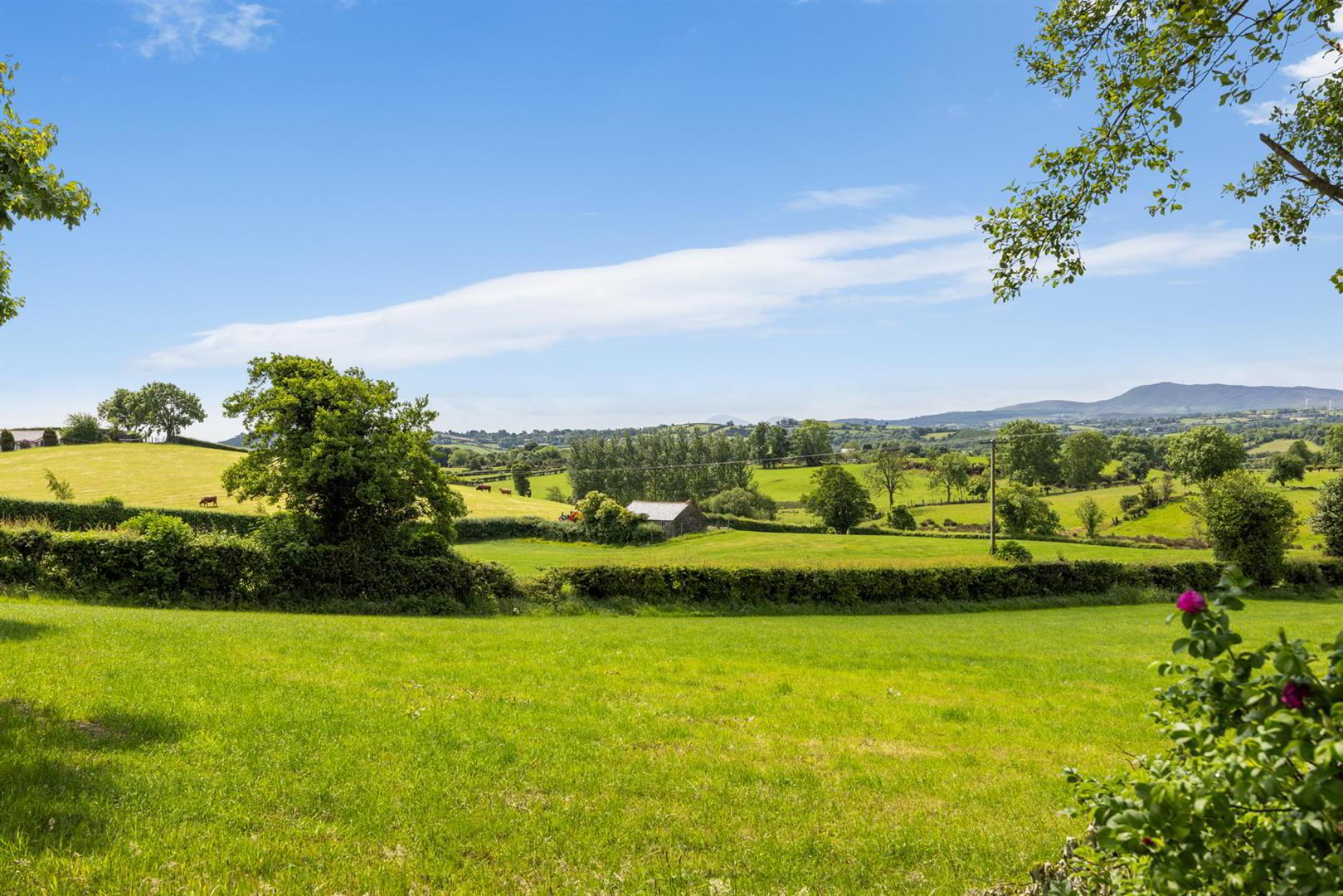 76a Magheraknock Road 66 of 73