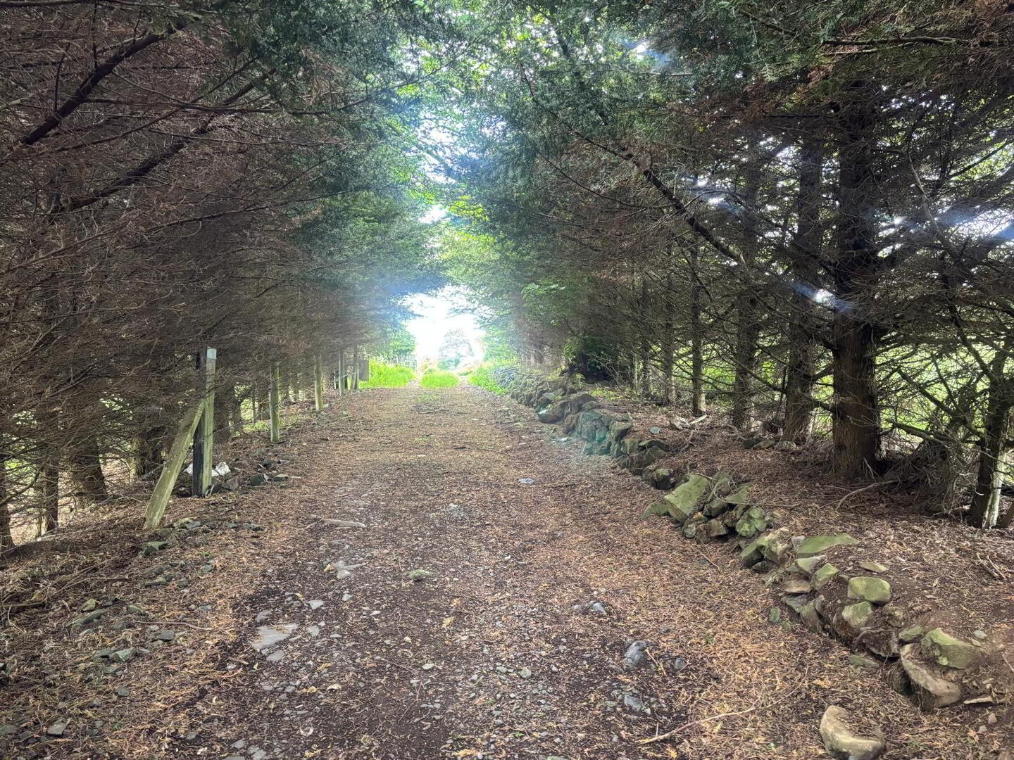 Approximately 29 Acres Of Agricultural Land, Backnamullagh Road 3 of 18