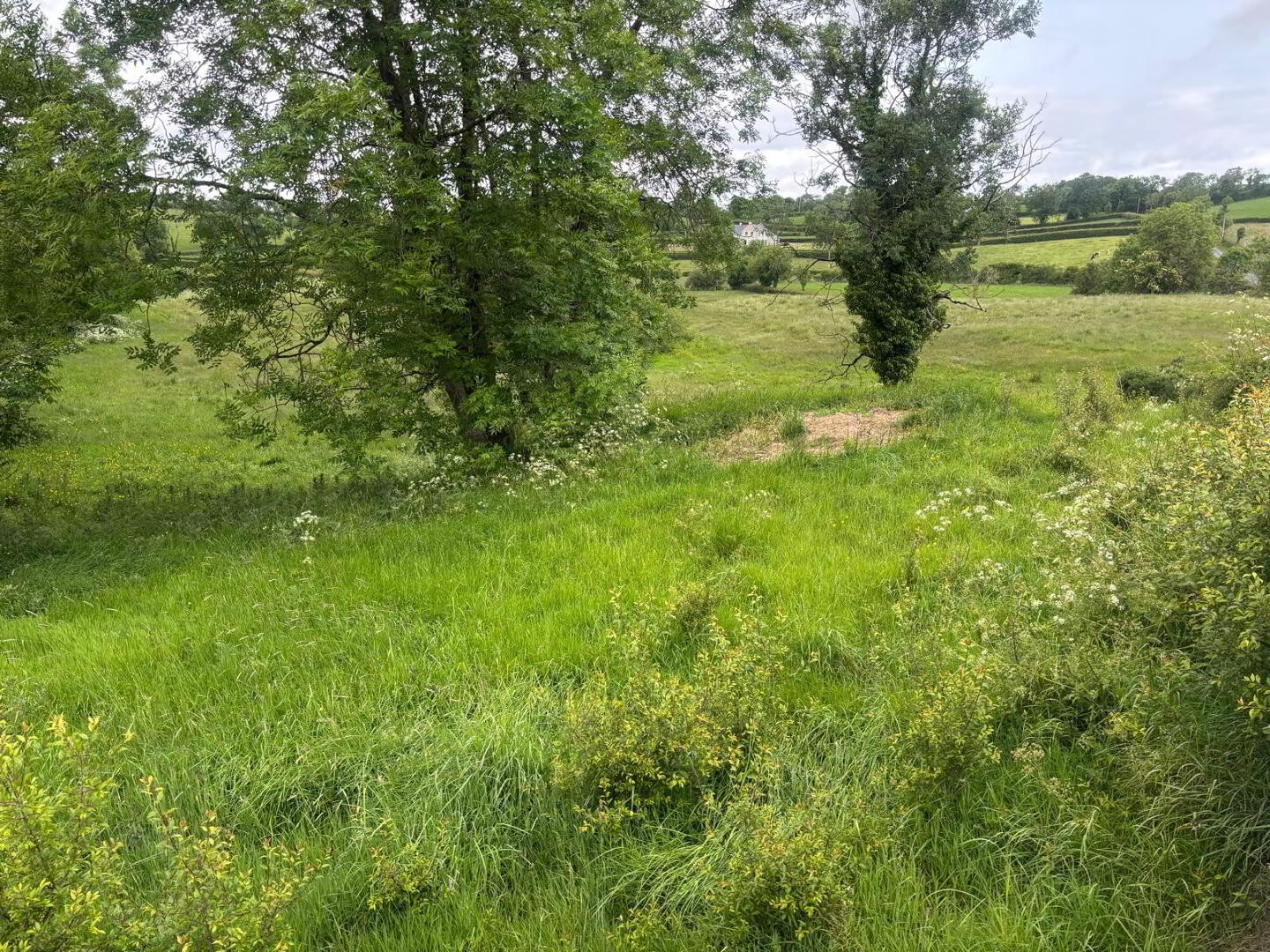 Approximately 29 Acres Of Agricultural Land, Backnamullagh Road 4 of 18