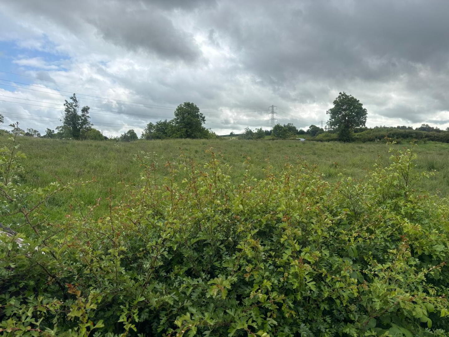 Approximately 29 Acres Of Agricultural Land, Backnamullagh Road 5 of 18