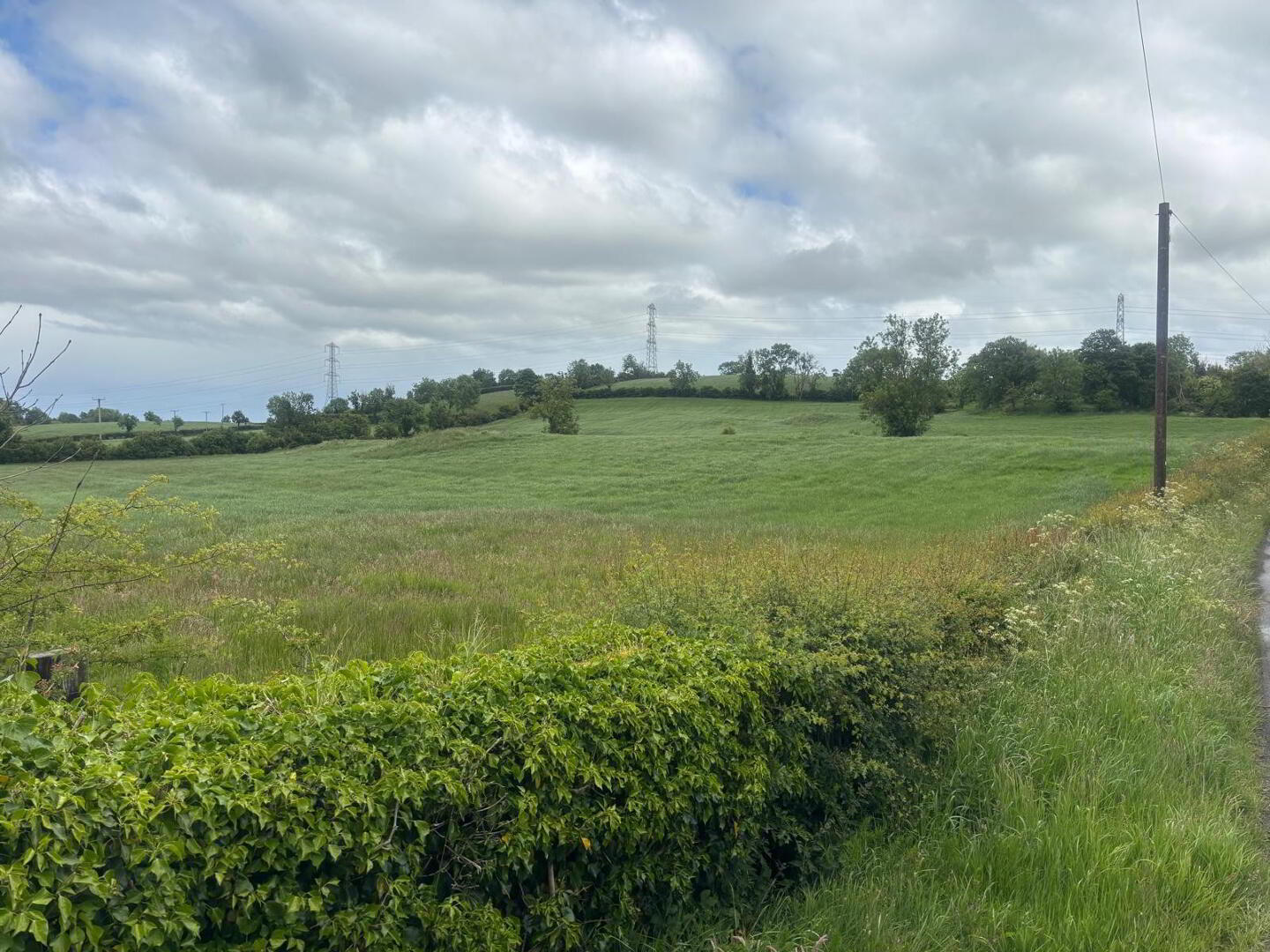 Approximately 29 Acres Of Agricultural Land, Backnamullagh Road 7 of 18