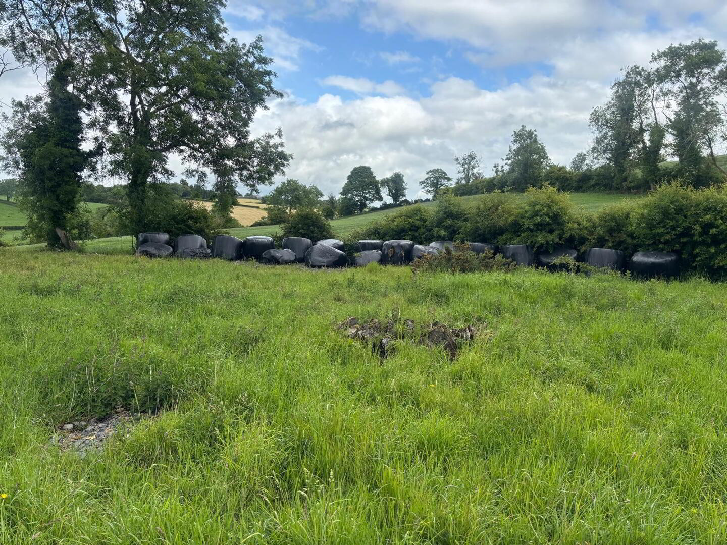 Approximately 29 Acres Of Agricultural Land, Backnamullagh Road 8 of 18