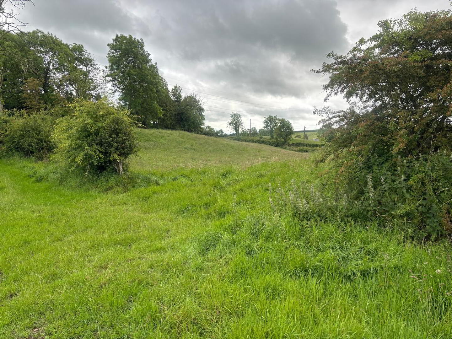 Approximately 29 Acres Of Agricultural Land, Backnamullagh Road 10 of 18