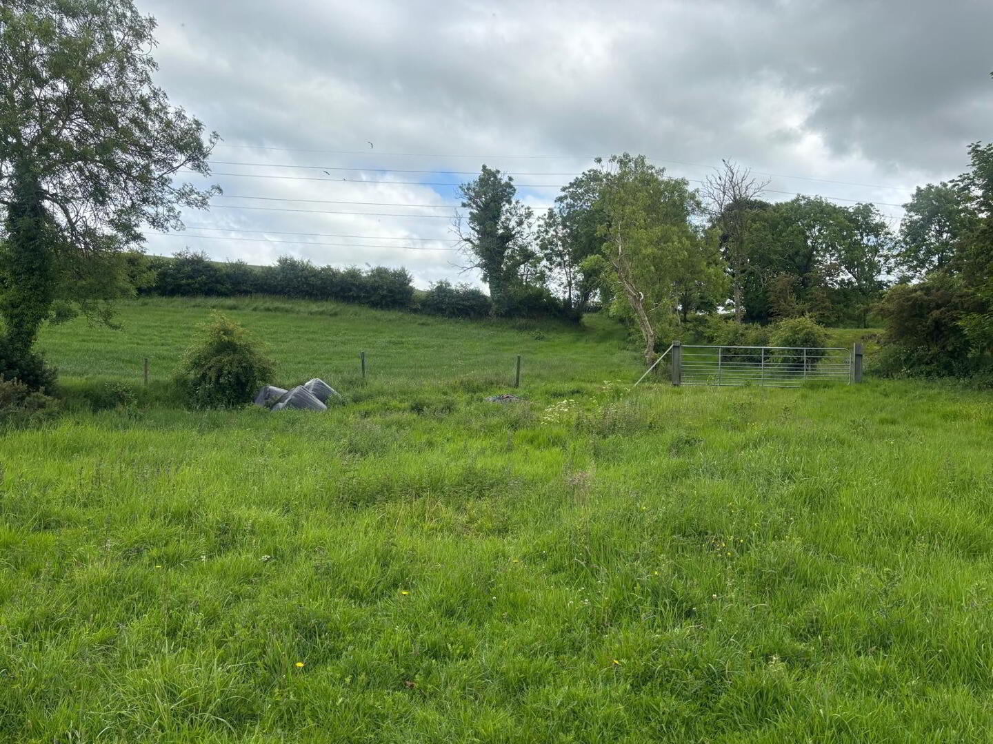 Approximately 29 Acres Of Agricultural Land, Backnamullagh Road 11 of 18