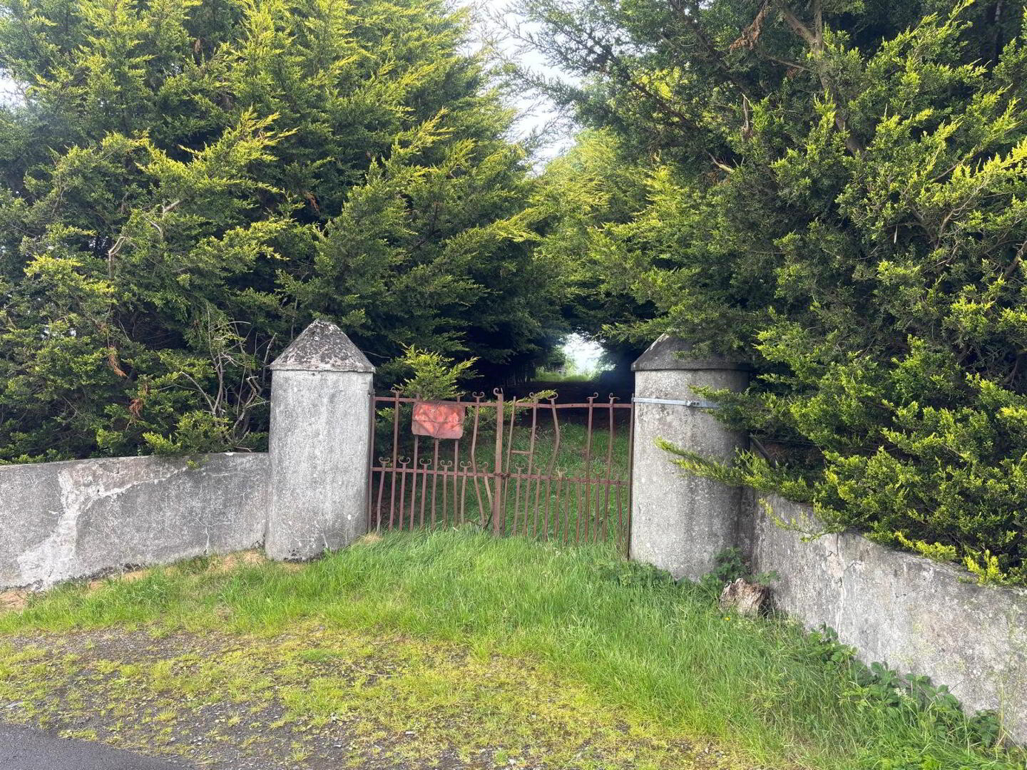 Approximately 29 Acres Of Agricultural Land, Backnamullagh Road 12 of 18