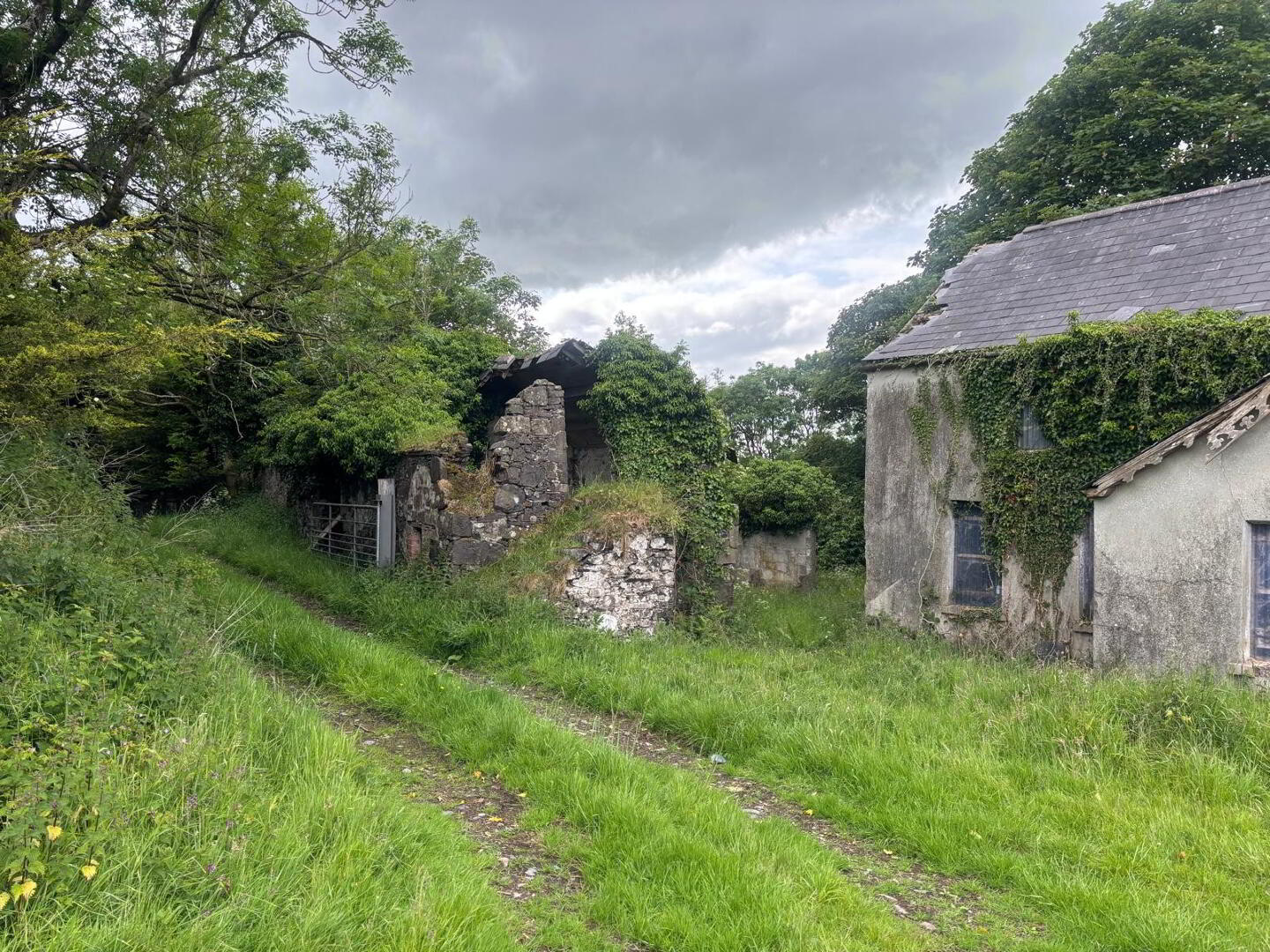 Approximately 29 Acres Of Agricultural Land, Backnamullagh Road 14 of 18