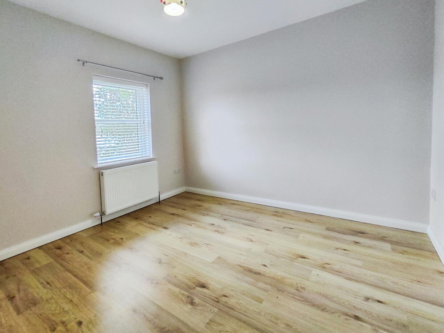 8a St Patricks Avenue 14 of 20