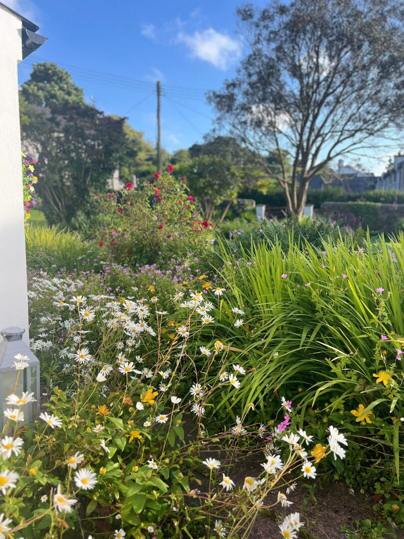 'Sheelagh's Cottage', 6-8 Strand View Park 40 of 44