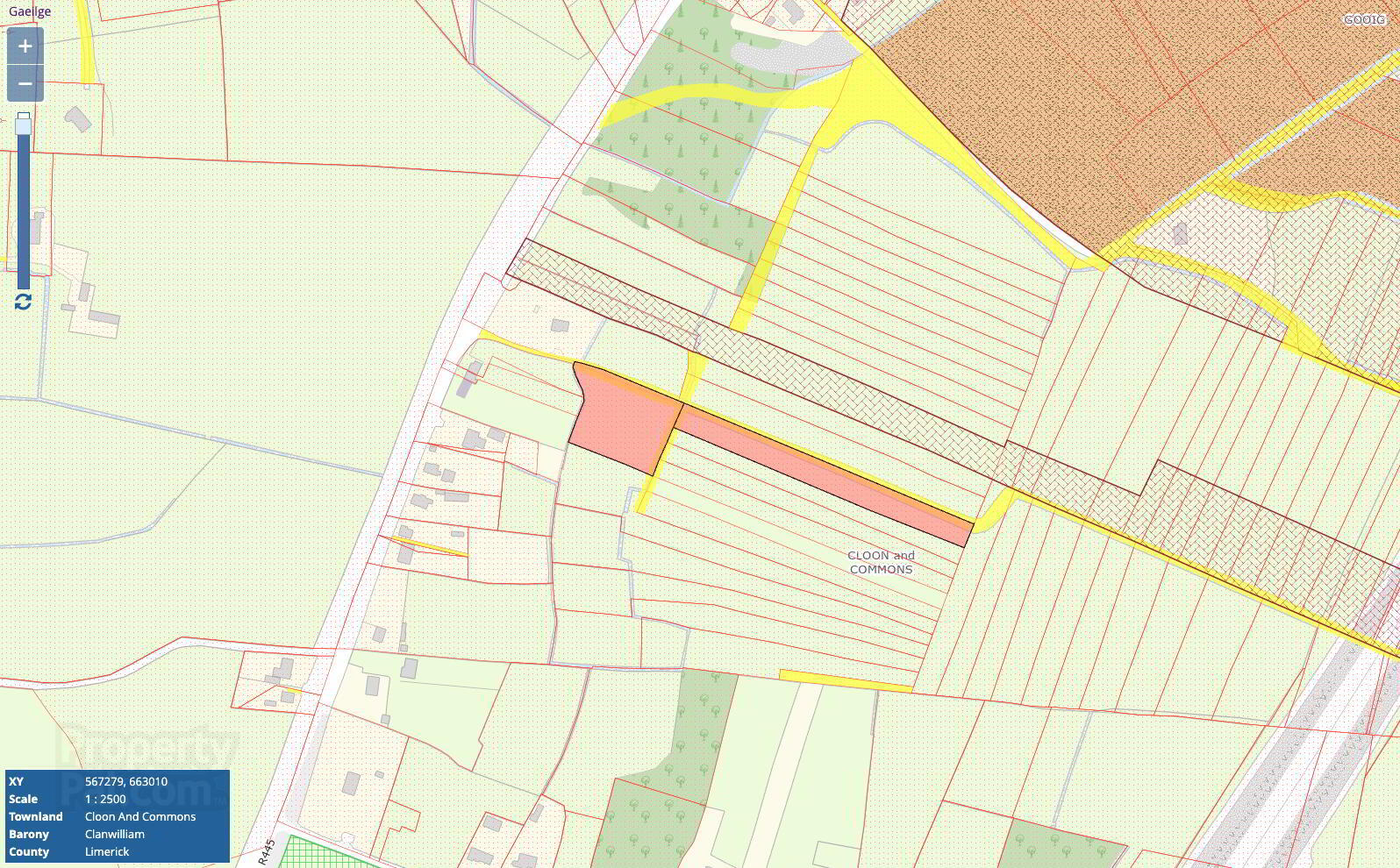 Cloon And Commons 3 of 3