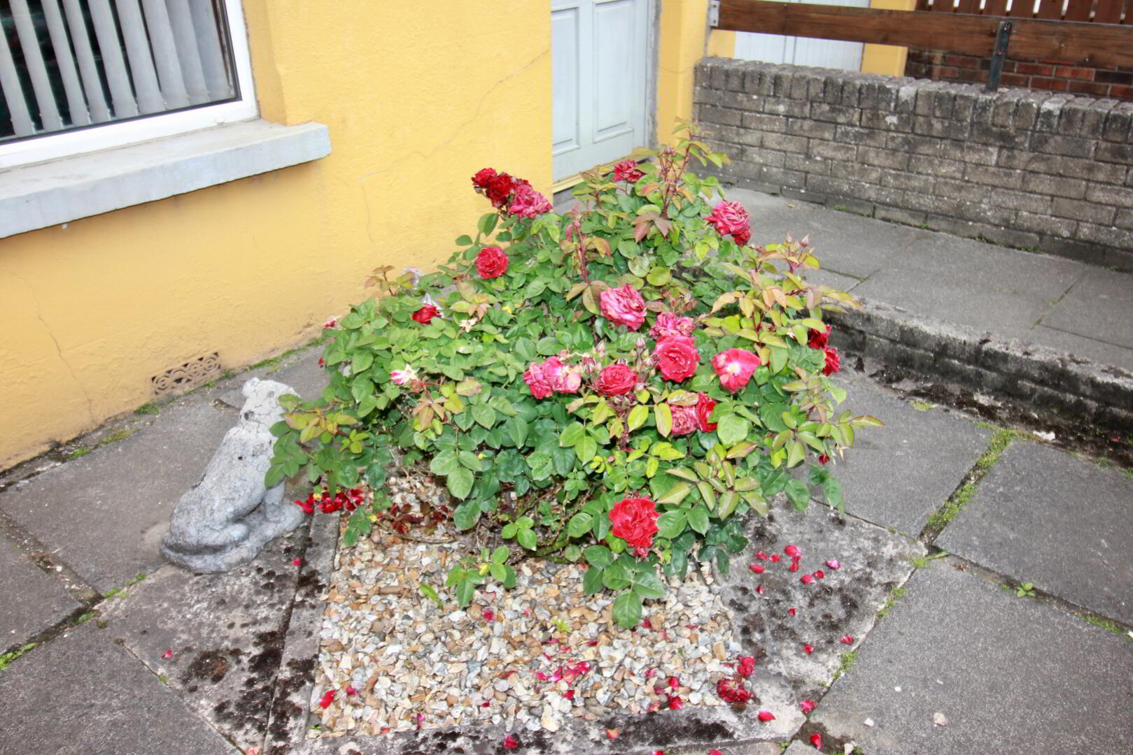 property description image