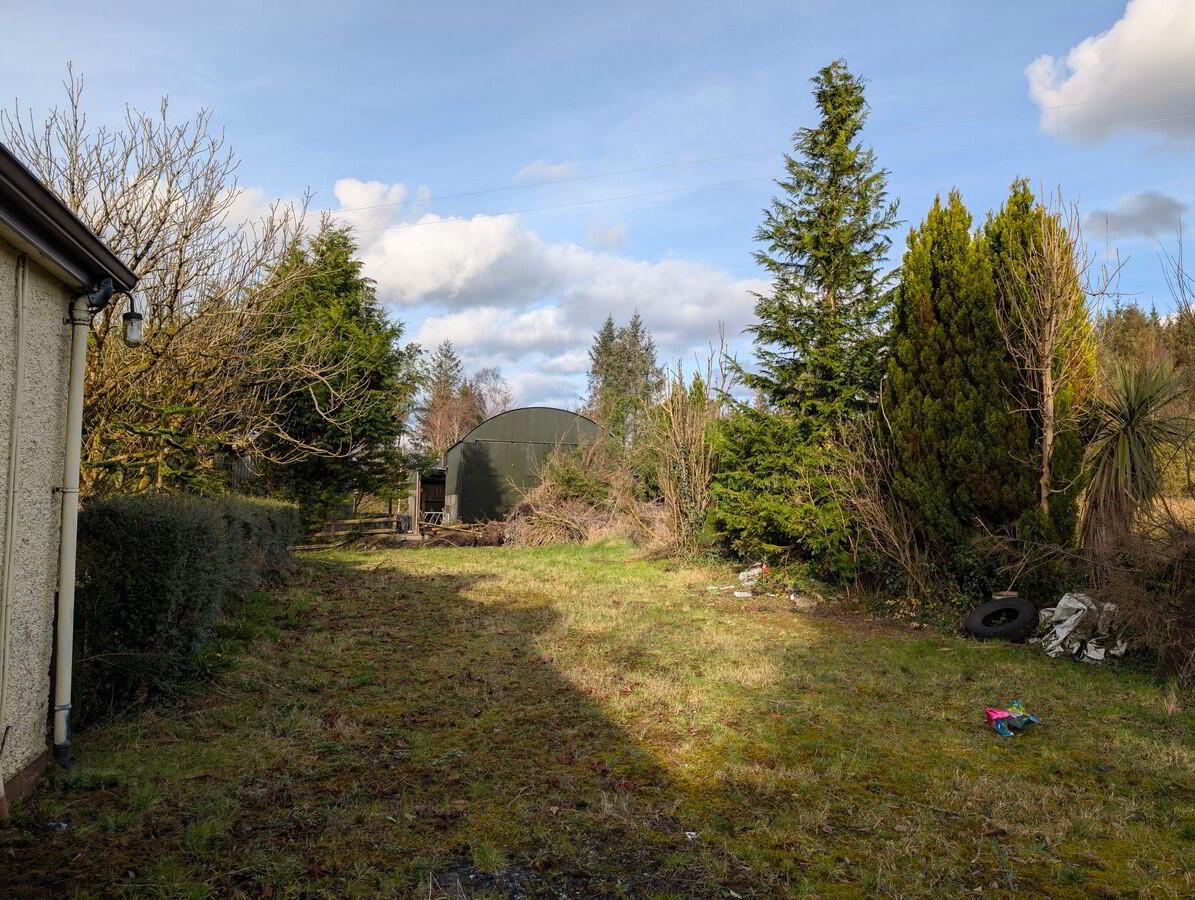 Boley 19 of 26