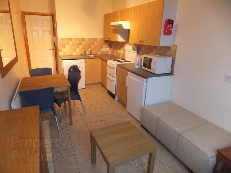 Apt 2, 73 Dunluce Avenue 4 of 13