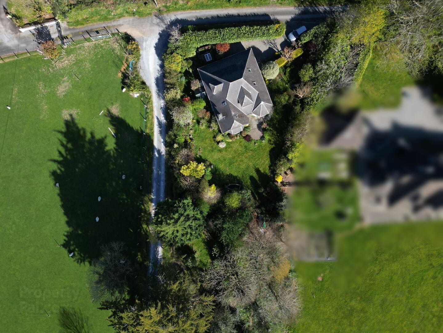 Baden Hills House, Fossa 31 of 39