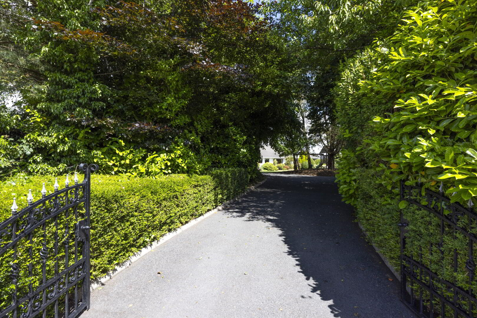 Willowvale, 161 Ballynahinch Road 4 of 43