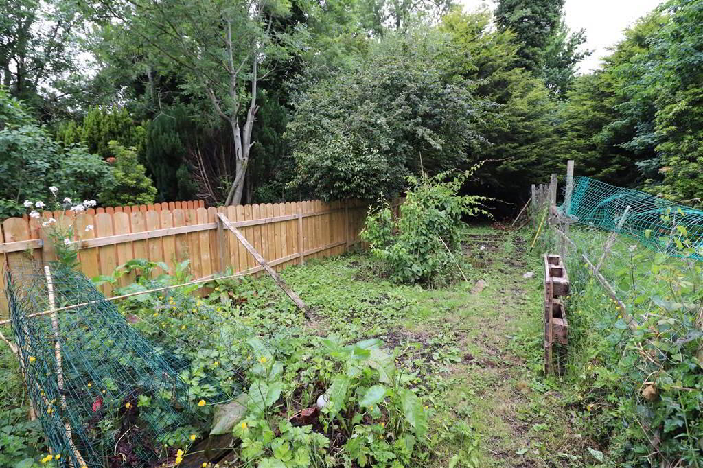 23 Wesley Street 11 of 11