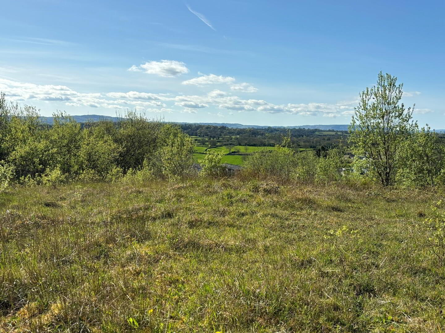 property description image