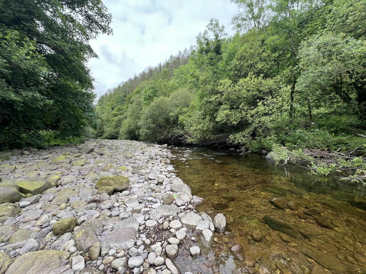 Knockaunbrandon 32 of 44