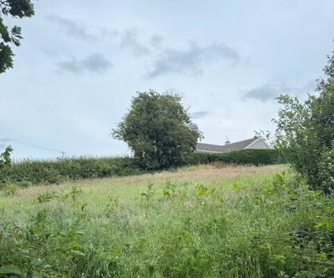 Replacement Building Site Situated At 20 Drum Road 4 of 5