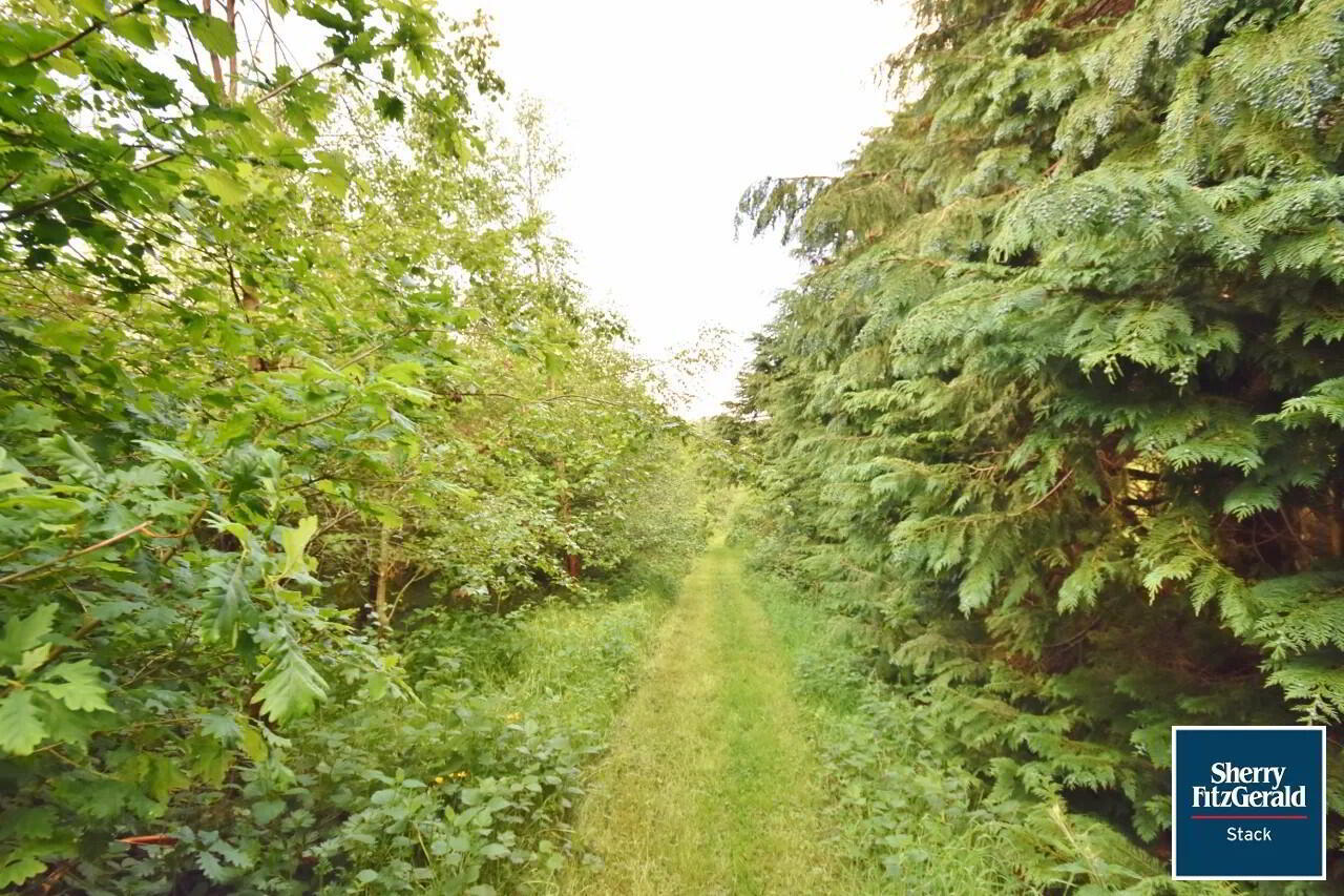 High Road 22 of 29
