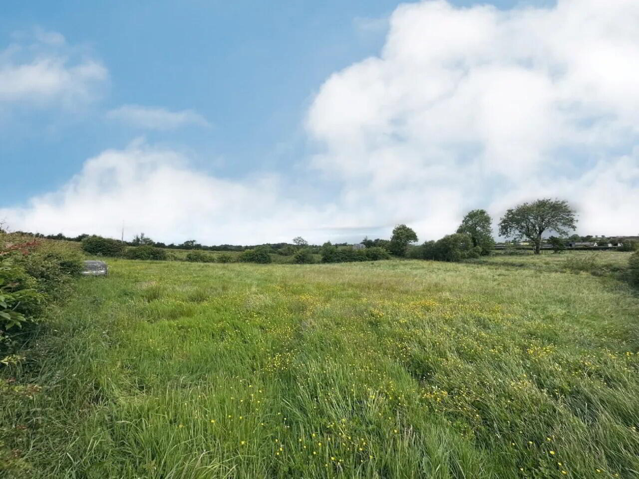 Site With F. P, P Corlea 1 of 4