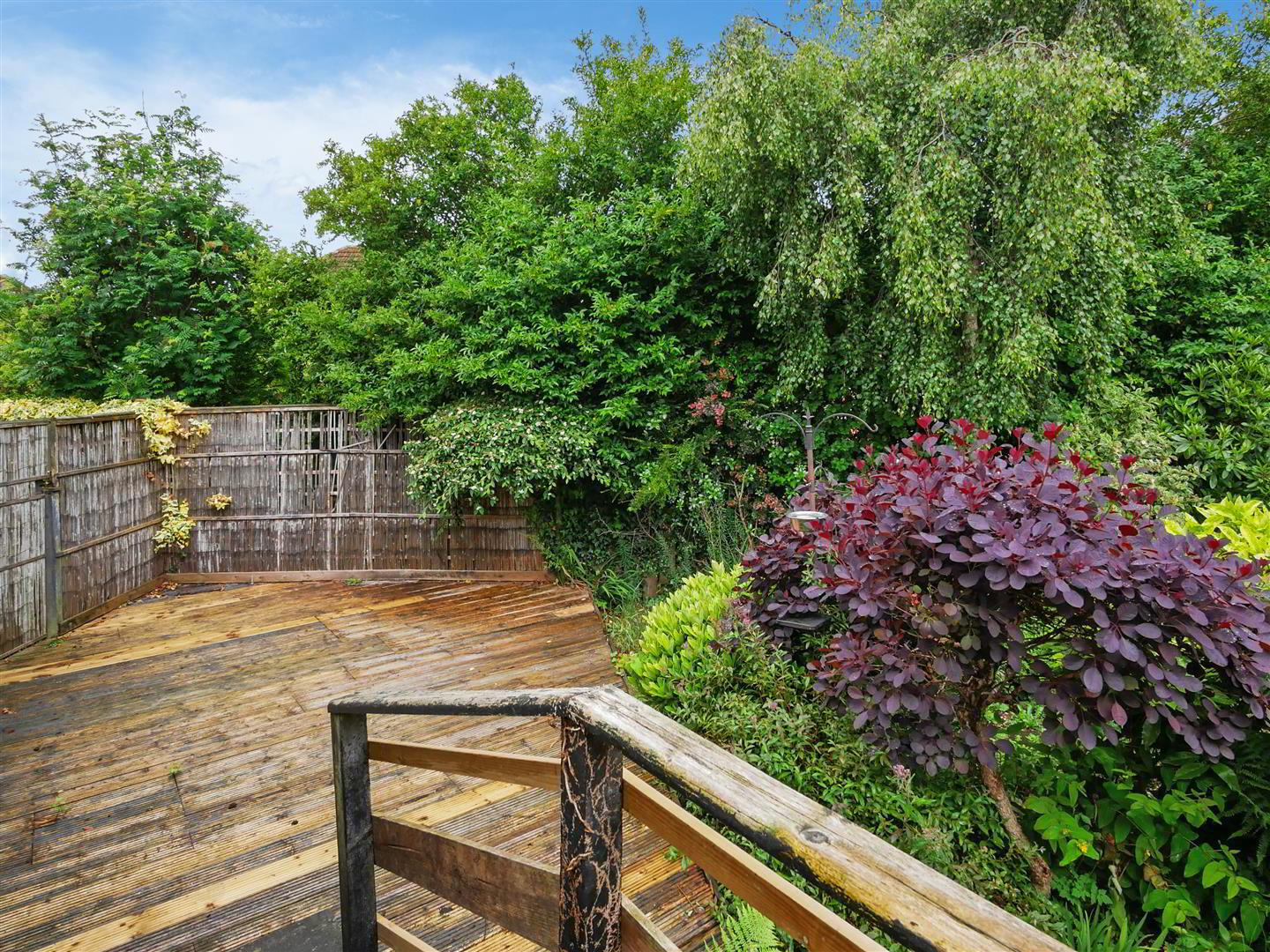 14 Lenaghan Gardens 18 of 25