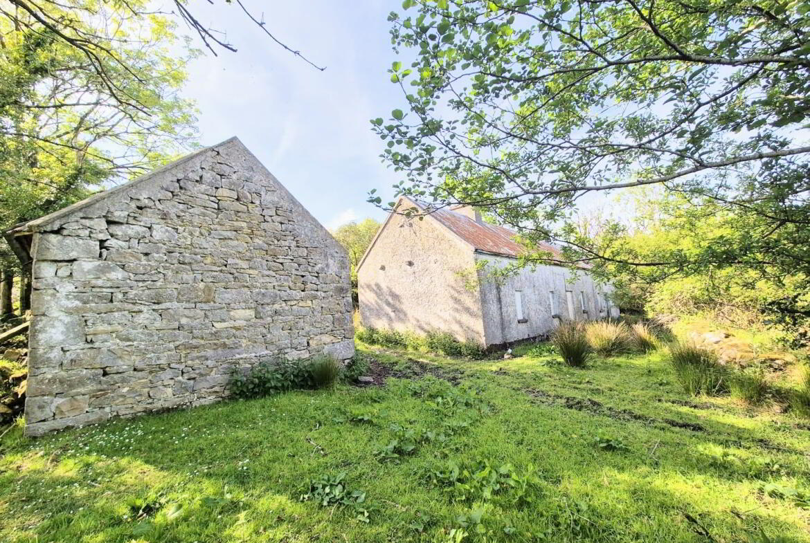 Corlea Cottage 1 of 14