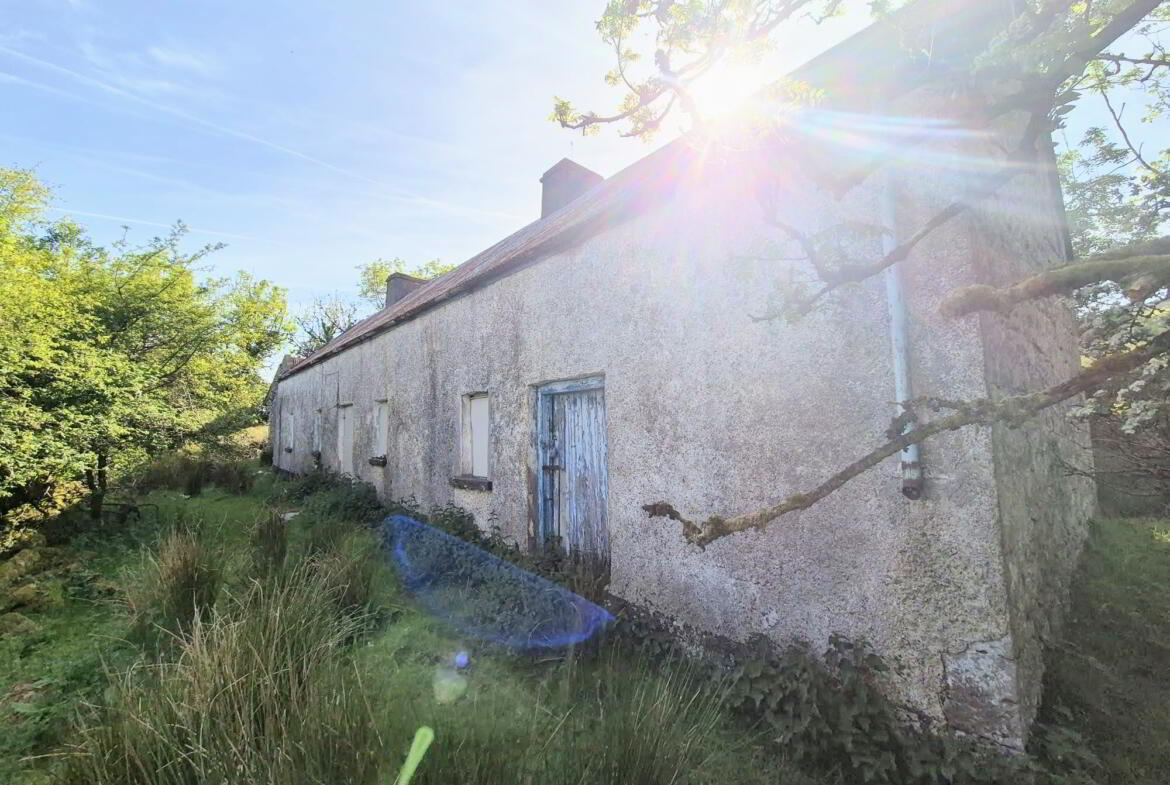 Corlea Cottage 5 of 14