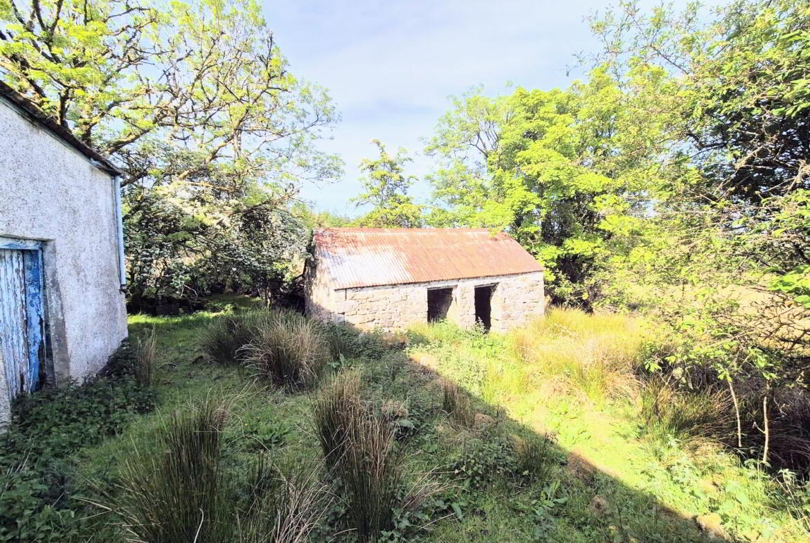 Corlea Cottage 6 of 14