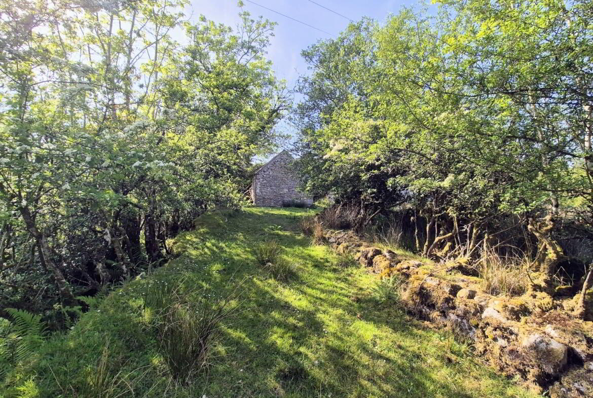 Corlea Cottage 12 of 14