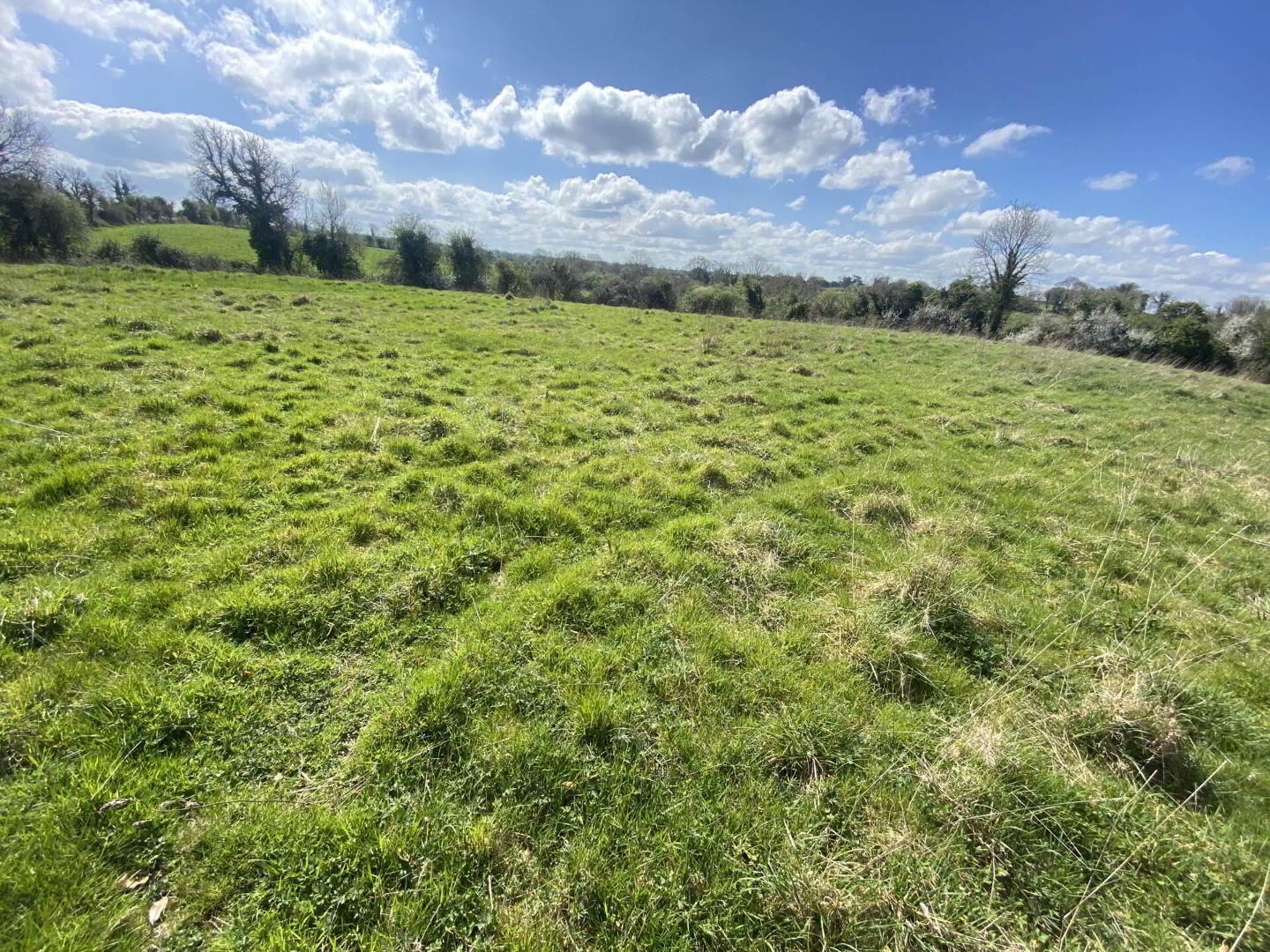 property description image